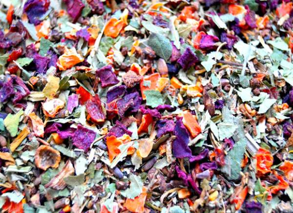 Saison Kräuter Pferd